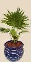 IMG_20250613_214359.webp
