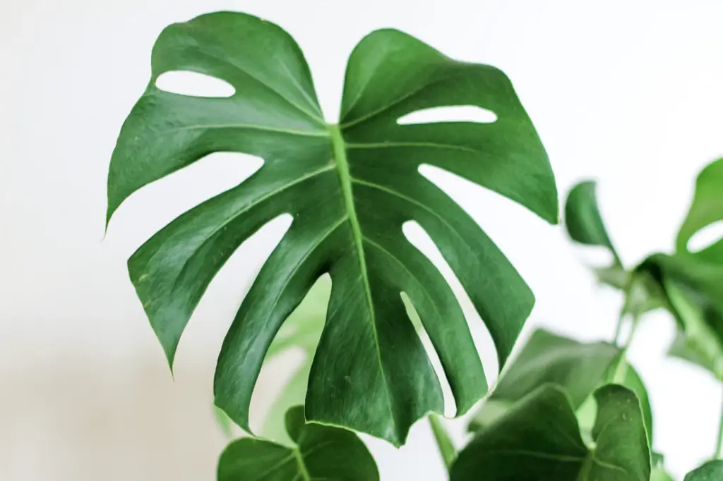 kara-eads-547179-unsplash.webp