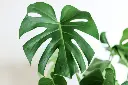kara-eads-547179-unsplash.webp