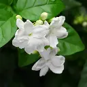 images (5).webp