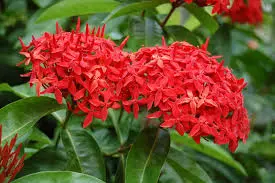 images (7).webp