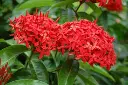 images (7).webp