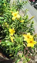 IMG20250608144020.webp