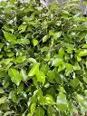 images (9).webp