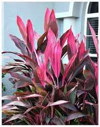 images (3).webp