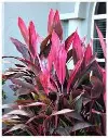 images (3).webp
