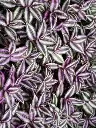 2000_645e781b0b0b1.webp