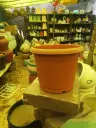 Plastic Pot