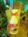 Hariyali Agro Mealy Bug Spray