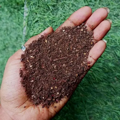     Neem khali 